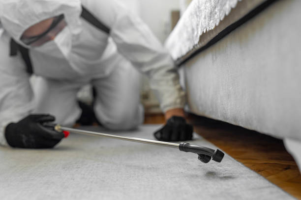 Professional Cockroach Control technician working in Dover, OH