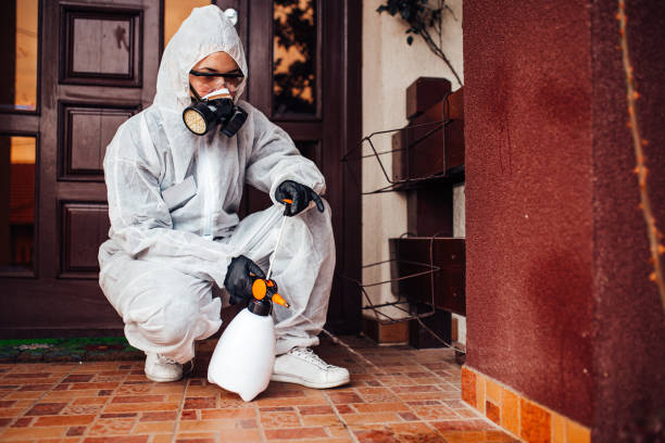 Reliable Cockroach Control contractor in Dover, OH by Nex Pest Control